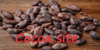 cocoa pic