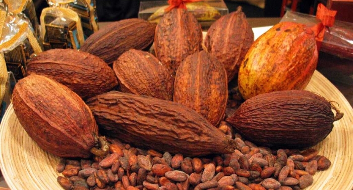 Cocoa beans