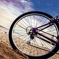 bike wheel
