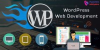 WDV 240 Wordpress